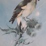 PICTURE - Print - Vintage - Goldfinch Image 3