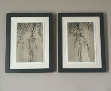 Framed watercolour prints
