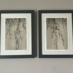 Framed watercolour prints