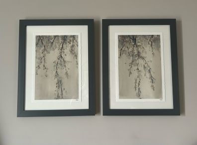 Framed watercolour prints