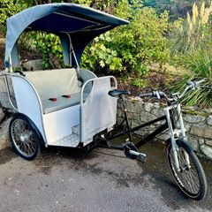 Rickshaw bicycle w/battery assist