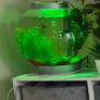 fish tank Image 2
