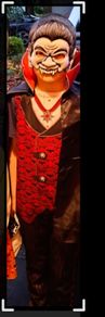 Hallowe'en fancy dress unisex