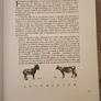 Seoda. I Leabharlann Naisiunta Na Heireann. First Edition Paperback In Good Condition. Image 10