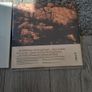 Lankum 2 double vinyl see description Image 5