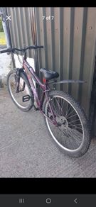 apollo bike
