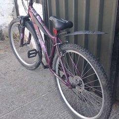 apollo bike