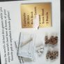 Guinness Pub Games Series World's 20 Best Dice Games Image 4