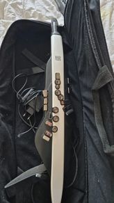 Roland Aerophone AE20