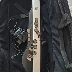 Roland Aerophone AE20