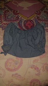 Fabulous Zara off shoulder cropped top