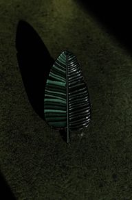 Plant leaf enamel pin