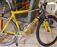 first ever giant tcr