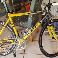 first ever giant tcr