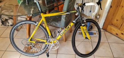 first ever giant tcr