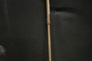 walking sticks