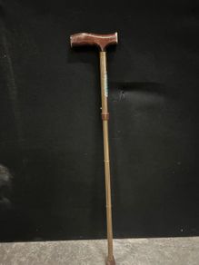 walking sticks
