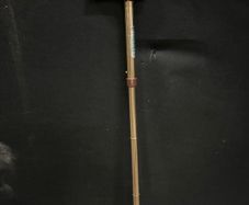walking sticks