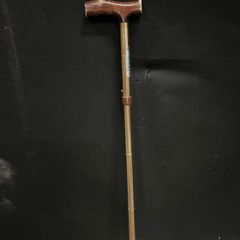 walking sticks
