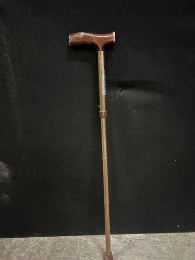 walking sticks