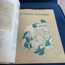 Rare Walt Disney Book Image 8