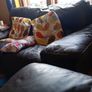 two seater leather sofa Image 2
