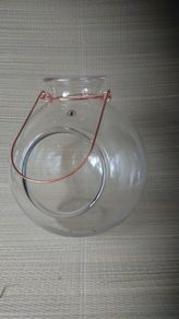 Glass terrarium for plants