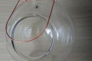 Glass terrarium for plants