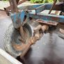 Ransome  Potato spinner Image 5
