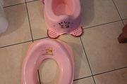 potty and seat