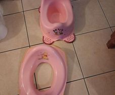 potty and seat