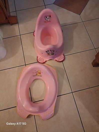 potty and seat