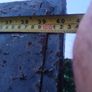 steel gates Image 4