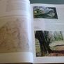 Camcor The river of Birr Offaly Ireland Irish Local history Image 8