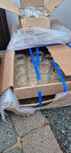 4 Beehives & Bees with ALL equipment