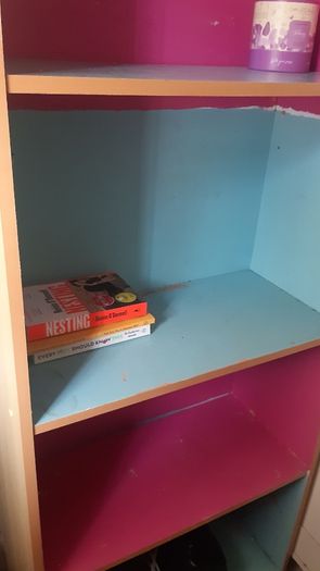 Kids bookcase dyed pink and blue, 5 compartments