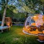 Garden Dome SALE!! Image 6