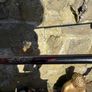 Full Set of Callaway Big Bertha Clubs Image 6