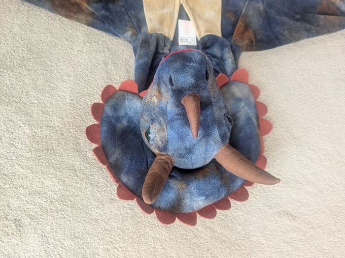 Dinosaur Costume