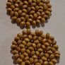Retro Yellow Geo Floral Round Lattice Earrings Image 8