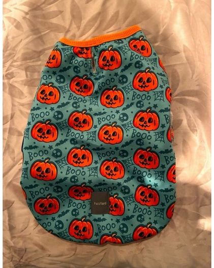 Dog Pumpkin Halloween Costume