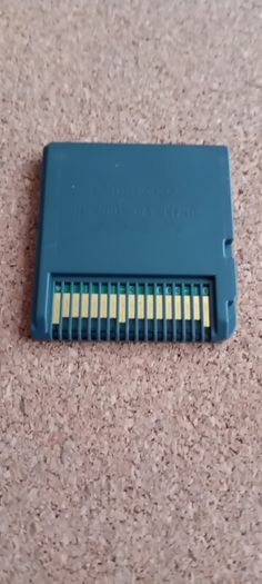 Nintendo  ds game