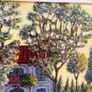 Original acrylic painting - Tom Feeney Image 10