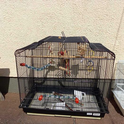 bird cage