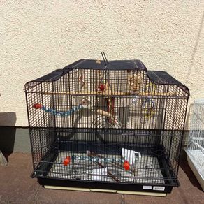 bird cage