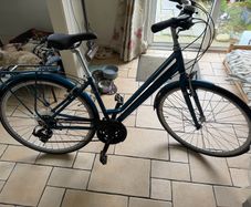 Pioneer Woman's bike
