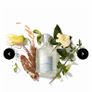 CREED Virgin Island Water 100ml parfum Image 2