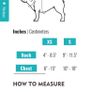 Frenchiebulldog harness Image 5