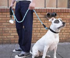 Reflective Dog Belt Pet Reflective Silk Traction Rope Reflective Nylon Suture at Night Dog Walking Rope