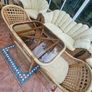 9 piece Conservatory/Sunroom Furniture set Image 4